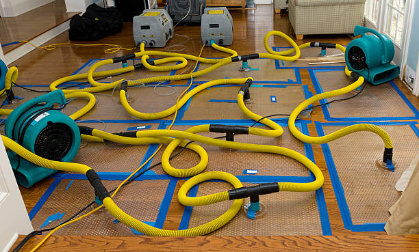 Professional Flood Damage Restoration technician working in Webb City, MO